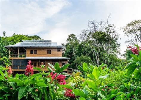hummingbird f95zone|Hummingbird Hotel .